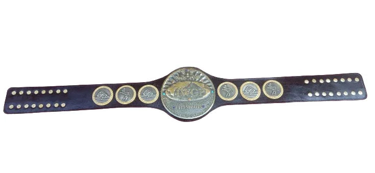 IWGP International Wrestling Grand Prix Junior Jr. Champion Belt - 2 | Dash Racegear