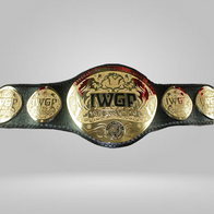 IWGP Heavyweight Tag Team Champions Belt - image 1 | DASH RACEGEAR