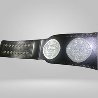 IWGP JR TAG TEAM Championship Belt - image 2 | DASH RACEGEAR