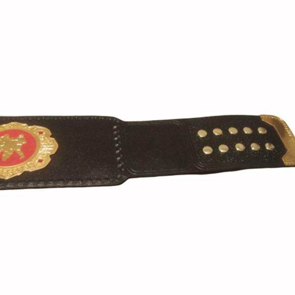 Iwgp Open Weight Never Six Men Tag Team Championship Belt - 2 | Dash Racegear