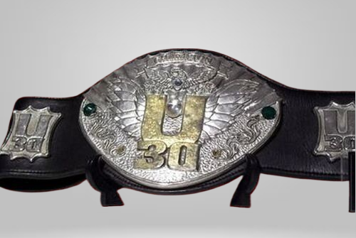 IWGP U-30 Openweight Championship Belt Openweight New Japan U 30 NJPW Old - image 1 | DASH RACEGEAR