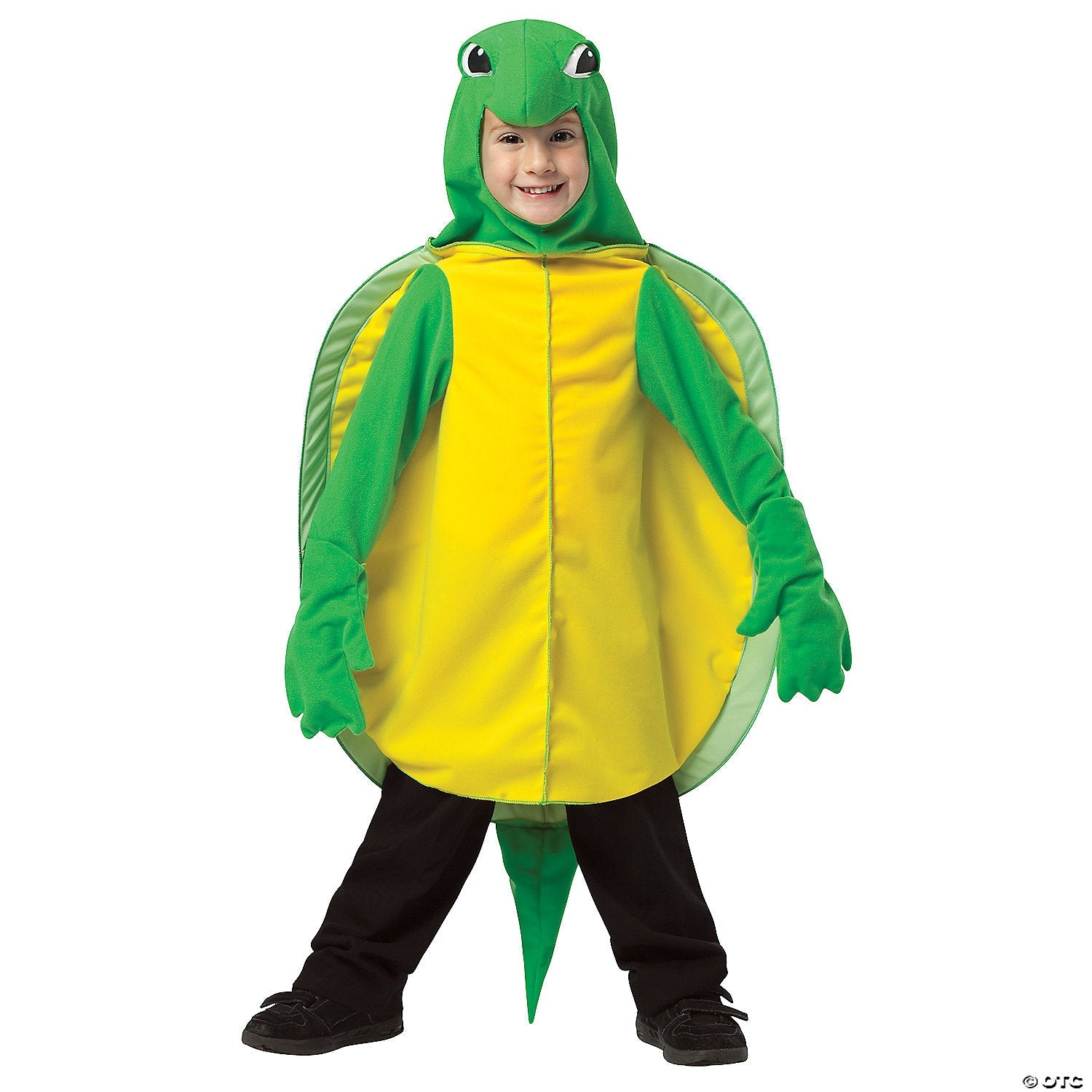 kids_20turtle_20costume_gc950546.jpg