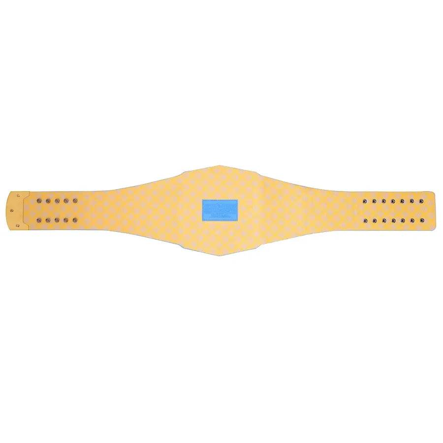 Los Angeles Chargers WWE Legacy Title Belt - 6 | Dash Racegear