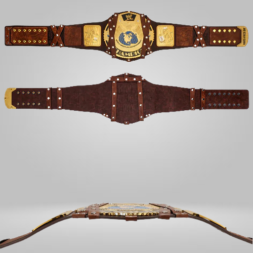 MANKIND SIGNATURE SERIES CHAMPIONSHIP REPLICA TITLE - image 3 | DASH RACEGEAR