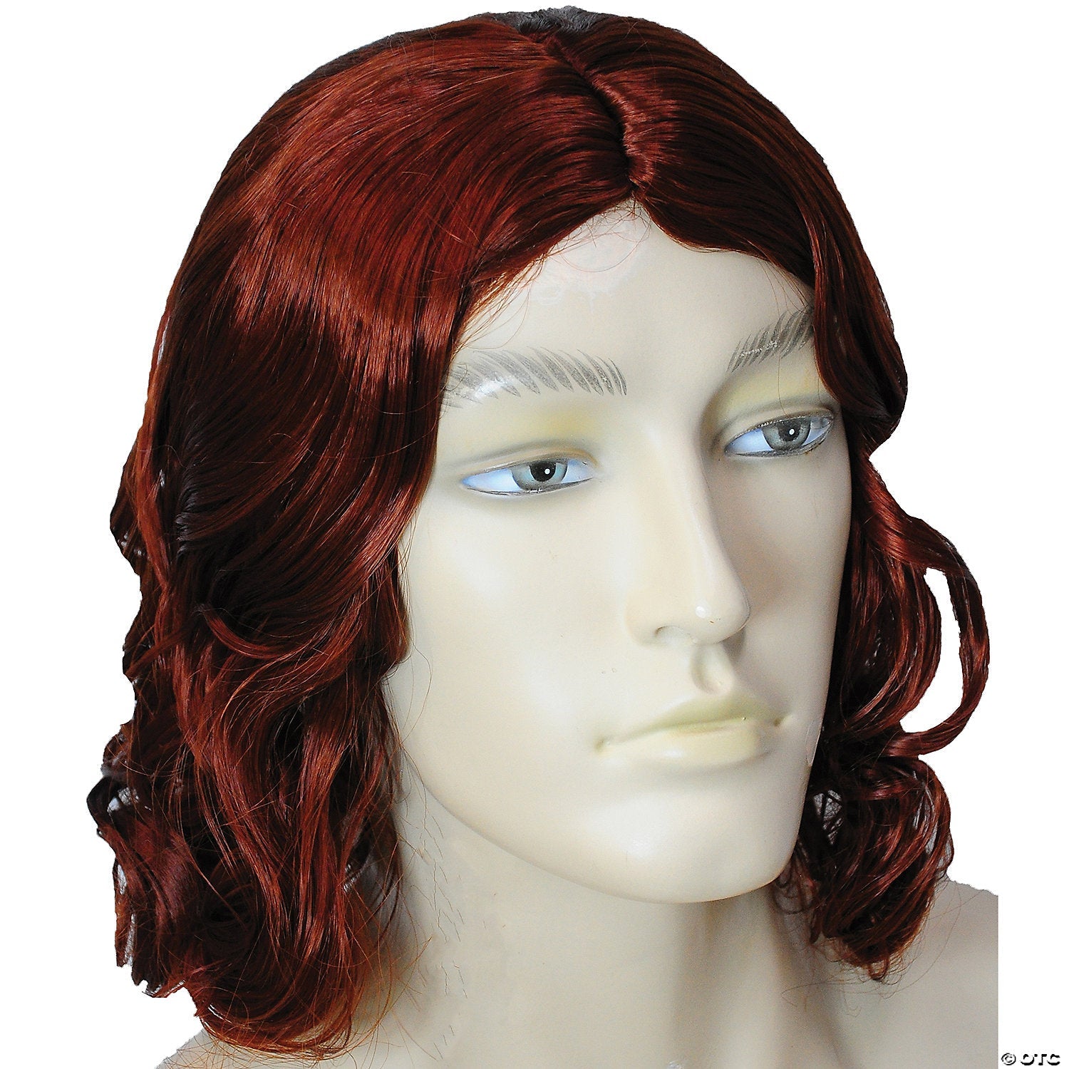 men_20s_20biblical_20wig_20_20_20auburn_lw104au.jpg