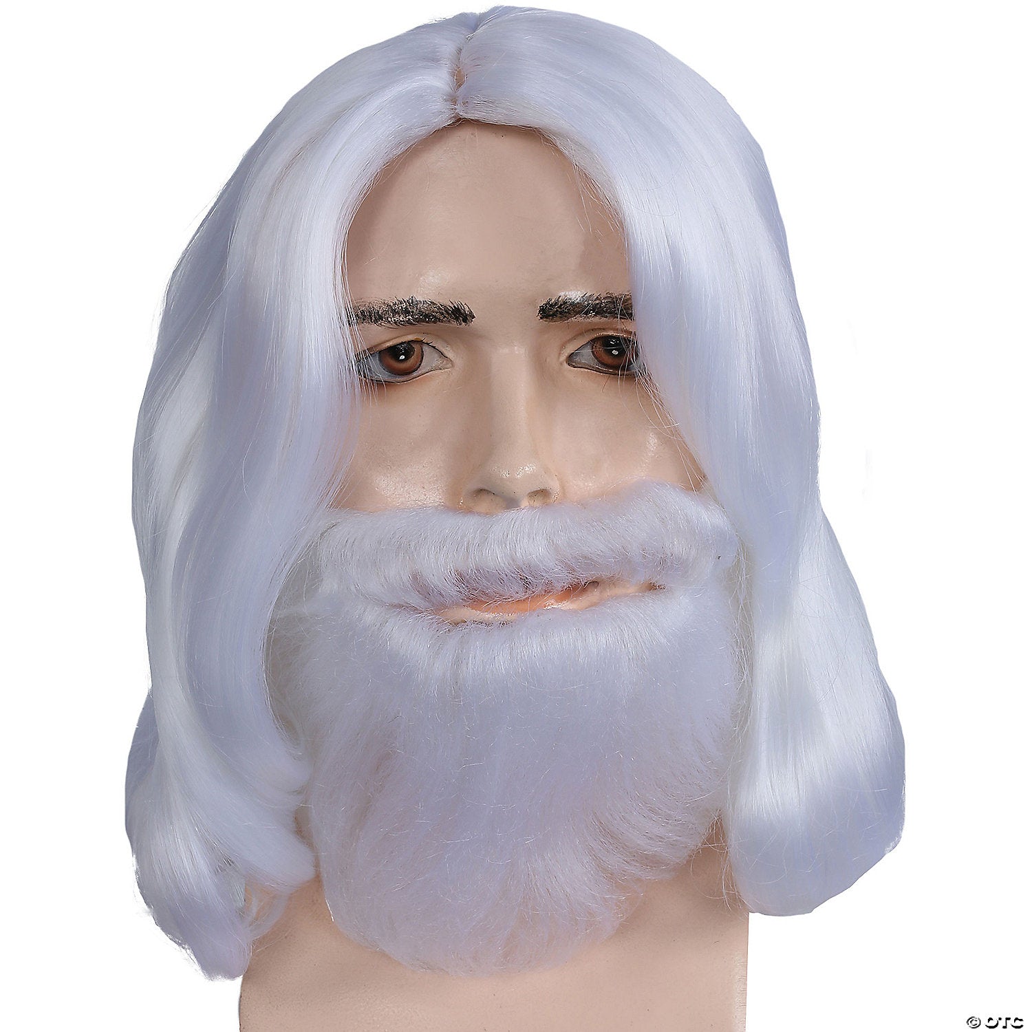 men_20s_20biblical_20wig_20_20beard_20set_lw300wt.jpg