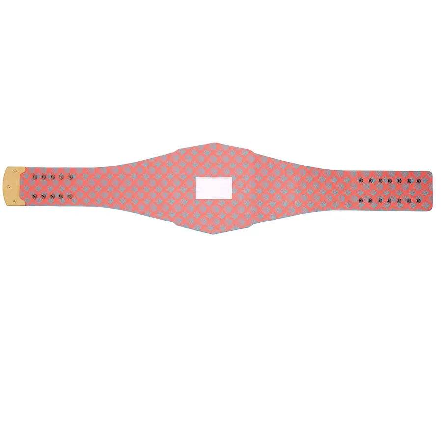 Miami Dolphins WWE Legacy Title Belt - 6 | Dash Racegear