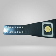 Mike Jackson AWA Championship Alabama jr. Heavyweight Title Champion Belt NWA - image 2 | DASH RACEGEAR