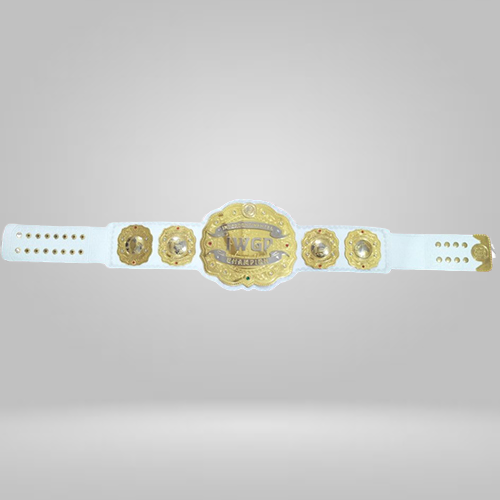 New IWGP Intercontinental Replica Championship Belt - image 1 | DASH RACEGEAR