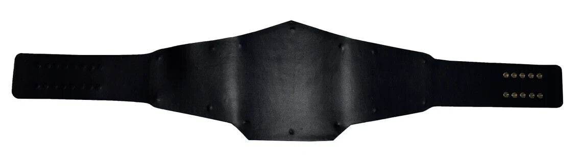 NWO World Heavyweight Wrestling Championship Adult Size - 3 | Dash Racegear