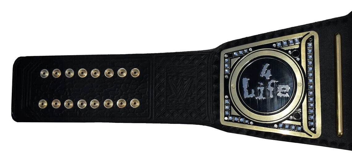 NWO World Heavyweight Wrestling Championship Adult Size - 4 | Dash Racegear