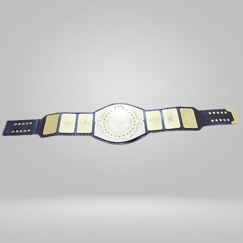 NEW Replica WWF Junior Wrestling Championship Belt - image 2 | DASH RACEGEAR