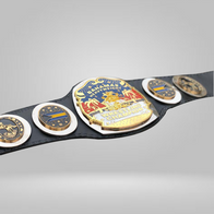 NWA Bahamas Bahamian Heavyweight Wrestling Champion Belt Islands Florida Championship - image 1 | DASH RACEGEAR