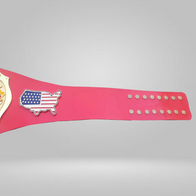 NWA Continental USA Heavyweight Wrestling Champion Belt - image 3 | DASH RACEGEAR