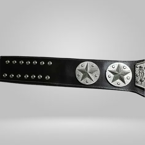 NWA Eastern Heavyweight Wrestling Champion Belt Jim Crockett Mid-Atlantic - image 2 | DASH RACEGEAR