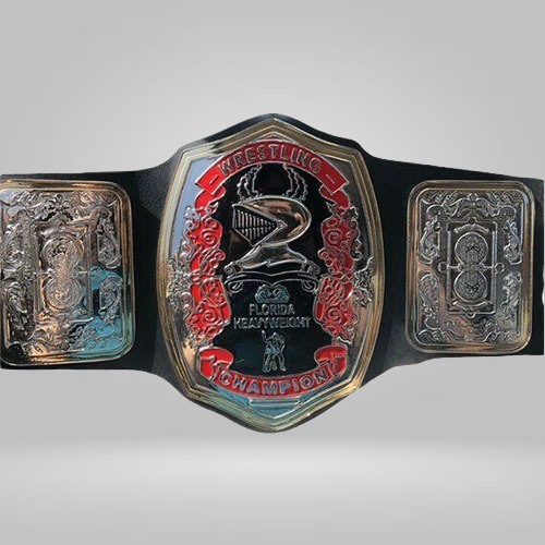 NWA Florida Heavyweight Championship Belt - image 1 | DASH RACEGEAR