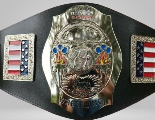 NWA Florida Television Wrestling Championship Belt Ray Stevens CWF Jack Brisco - image 1 | DASH RACEGEAR