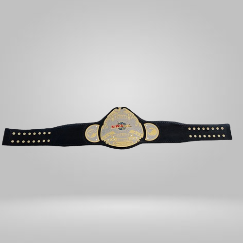 NWA Heritage title Wrestling Champion Belt Heavyweight Sean Waltman X-Pac TJP - image 1 | DASH RACEGEAR