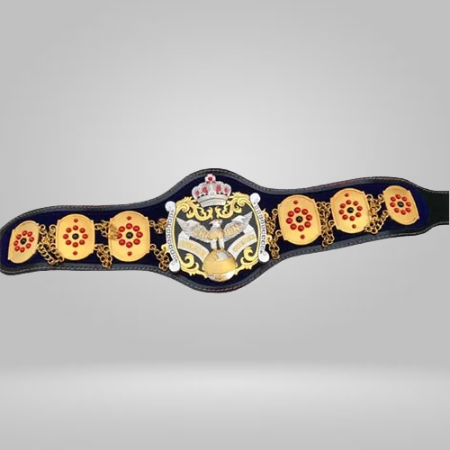 NWA International Heavyweight Wrestling Champion Belt - image 1 | DASH RACEGEAR