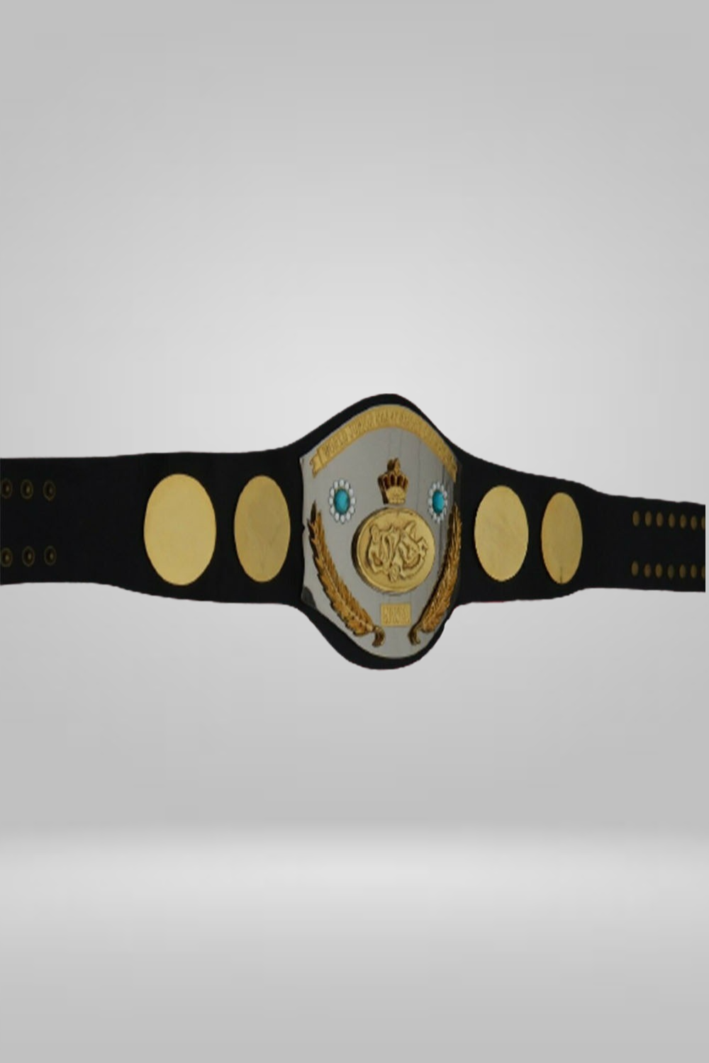 NWA Jr. World International Junior Heavyweight Wrestling Champion Belt - image 1 | DASH RACEGEAR