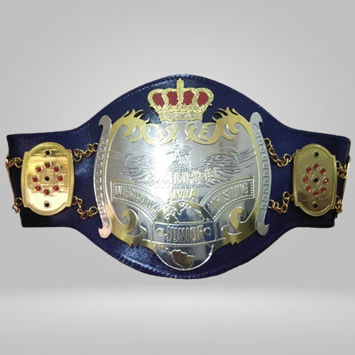 NWA Junior Heavyweight Replica Championship Belt - image 1 | DASH RACEGEAR