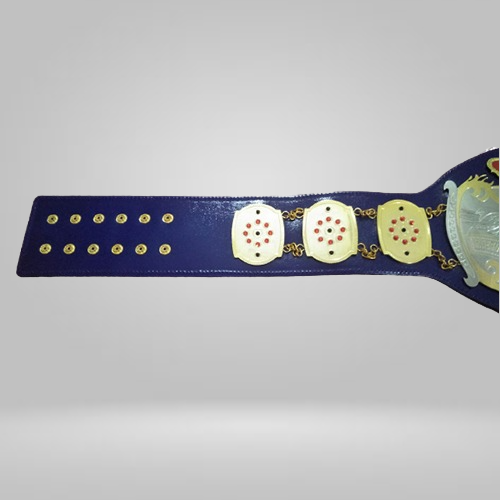 NWA Junior Heavyweight Replica Championship Belt - image 2 | DASH RACEGEAR