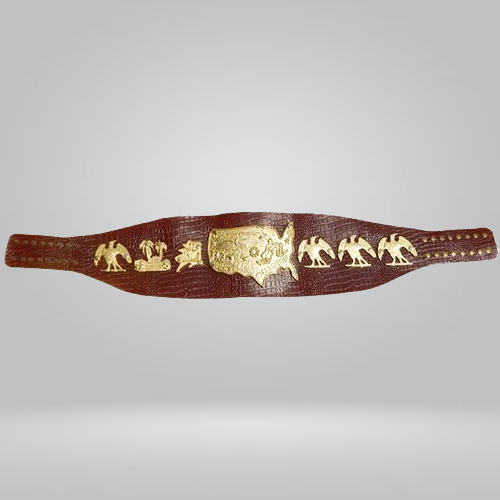 NWA Mid-Atlanti USA Heavyweight Wrestling Title Champion Belt Bob Backlund - image 1 | DASH RACEGEAR