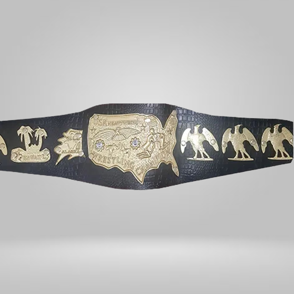 NWA Mid-Atlantic USA Heavyweihgt Heavyweight Wrestling Title Champion Belt Flair Wahoo Mulligan Valentine Piper Black Strap - image 1 | DASH RACEGEAR