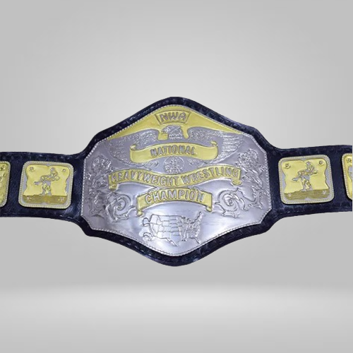 NWA National Heavyweight Wrestling Championship Zinc Plates Belt - image 2 | DASH RACEGEAR