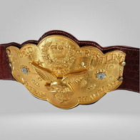 NWA National Wrestling Alliance World Women’s Tag Team Championship Belt WWF Mae - image 1 | DASH RACEGEAR