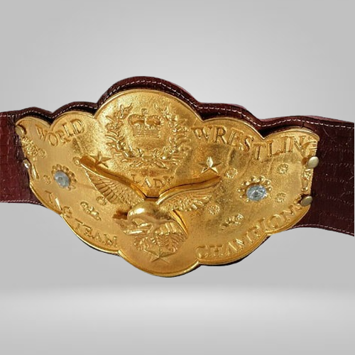 NWA National Wrestling Alliance World Women’s Tag Team Championship Belt WWF Mae - image 1 | DASH RACEGEAR