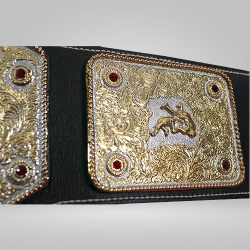 NWA RIC FLAIR World Heavyweight Wrestling Championship Belt WCW Champion belt - image 2 | DASH RACEGEAR