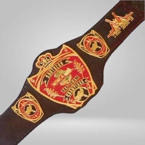 NWA Southern Tag Team Champion Belt Old Championship USA Top - image 1 | DASH RACEGEAR