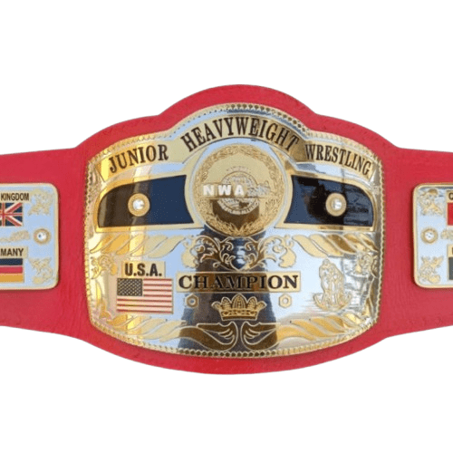 NWA World Junior Heavyweight Championship Inspired Title Belt - 1 | Dash Racegear