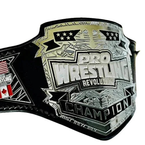 Pro Wrestling Championship Inspired Title Belt - 2 | Dash Racegear