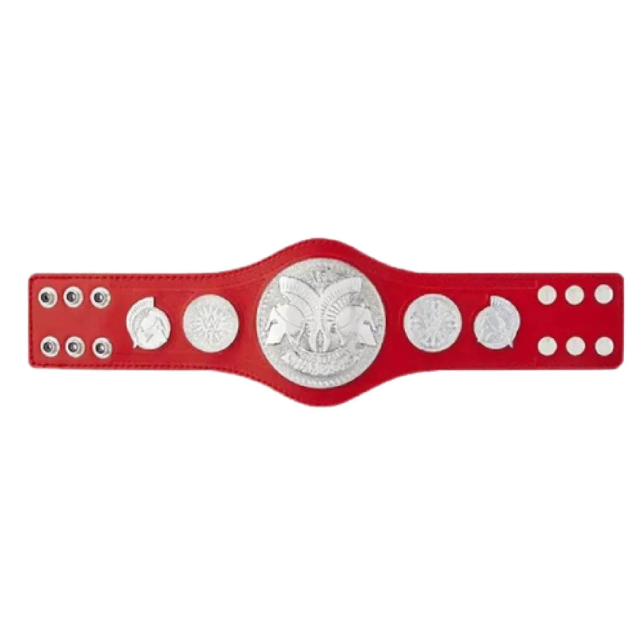 raw wwe tag team belts championship kids Inspired title - 1 | Dash Racegear
