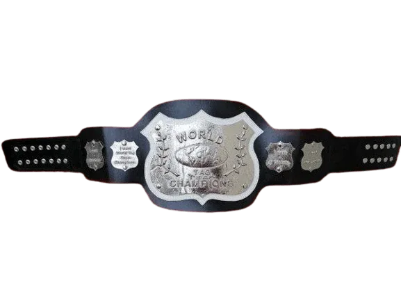 NWA World Tag Team Championship Inspired Title Belt - 1 | Dash Racegear
