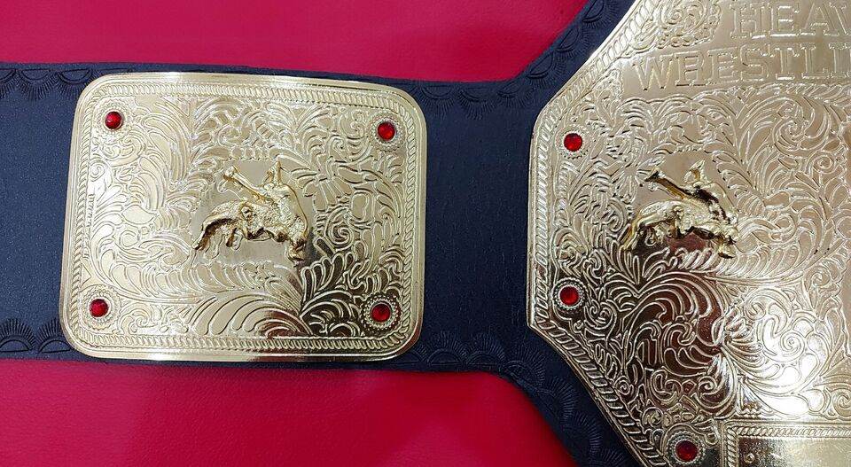 World Heavyweight Big Gold Championship Inspired Belt - 4 | Dash Racegear