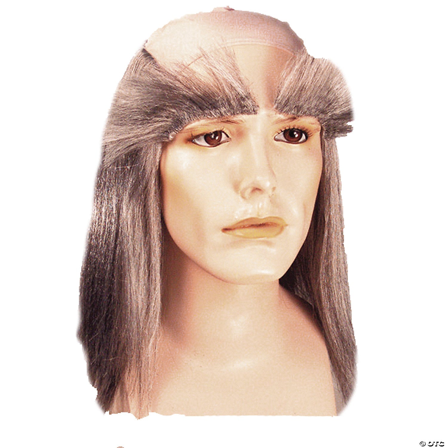 scrooge_20wig_20set_lw510gy.jpg