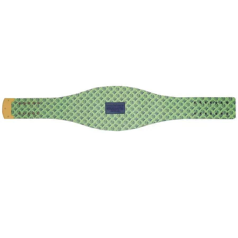 Seattle Seahawks WWE Legacy Title Belt - 6 | Dash Racegear