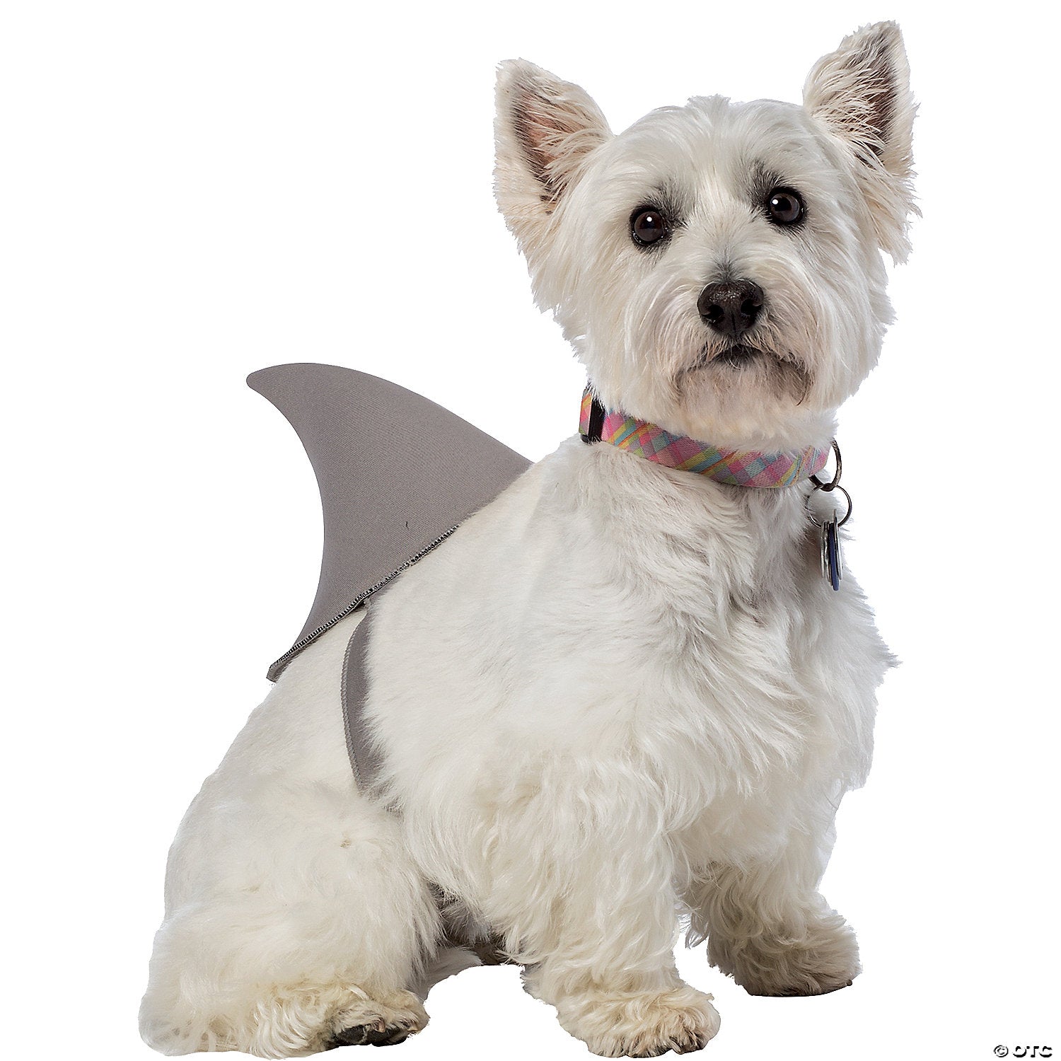 shark_20fin_20dog_20costume_gc5011md.jpg