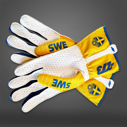 SWE - Glove | DASH RACEGEAR