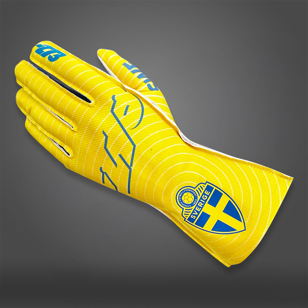 SWE - Glove | DASH RACEGEAR