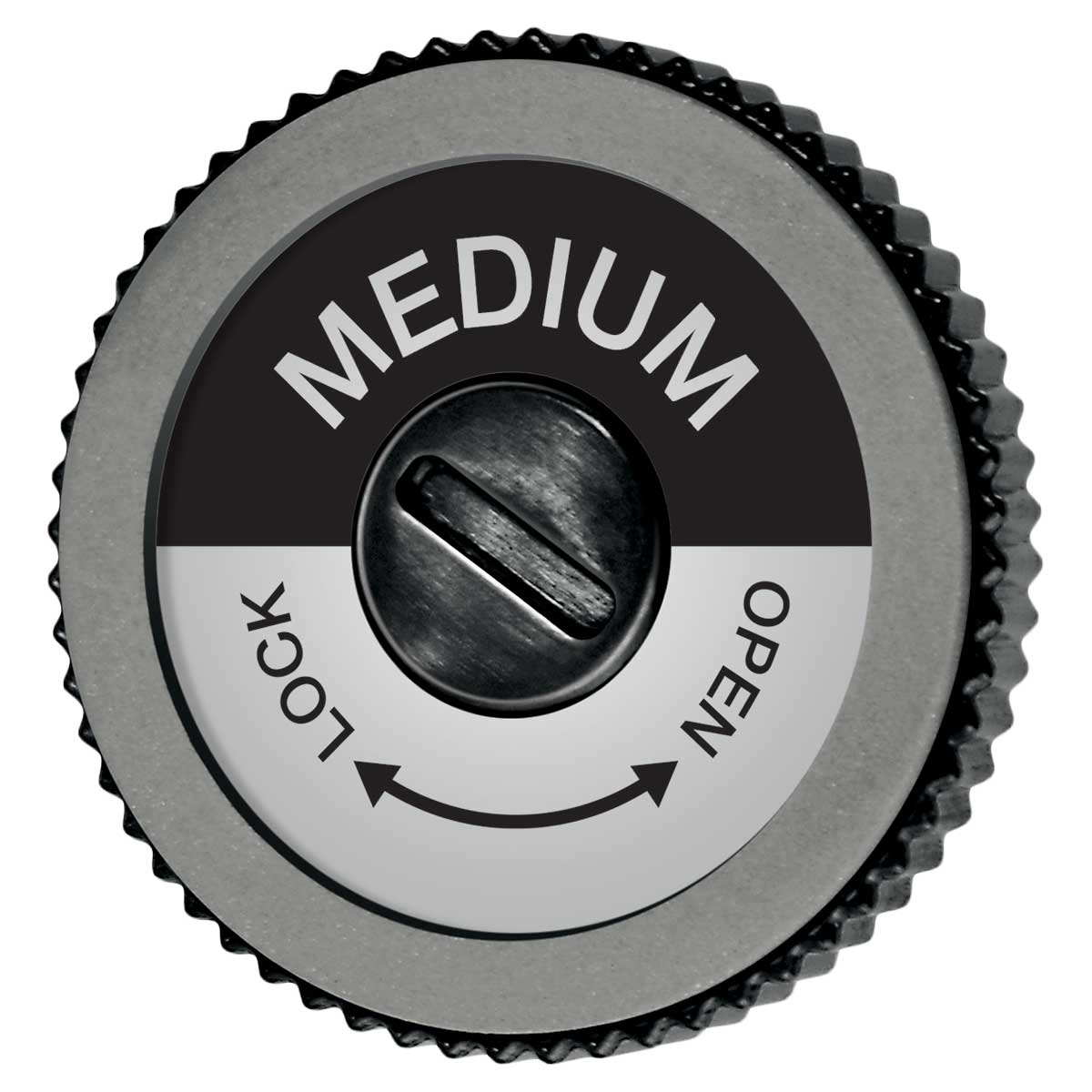 Swix Evo Pro Edge Tuner - image 6