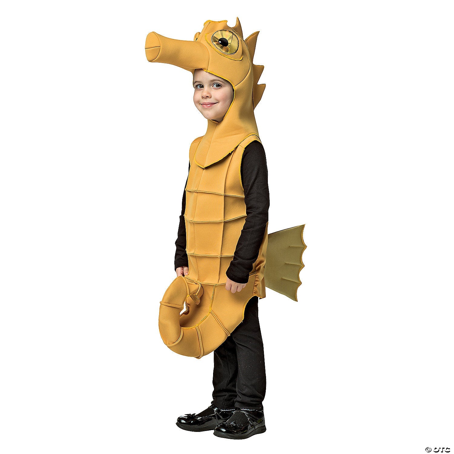 toddler_20seahorse_20costume_gc670434.jpg