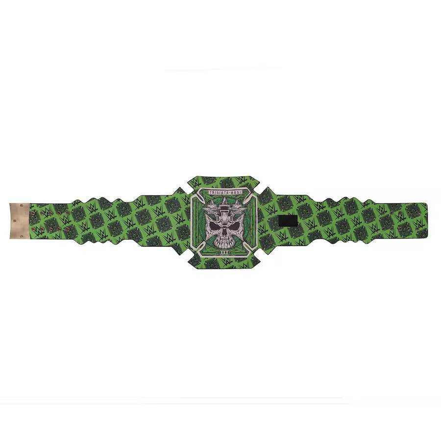 WWE Triple H 30 Years The Game Attitude Era Championship Title Belt - 6 | Dash Racegear