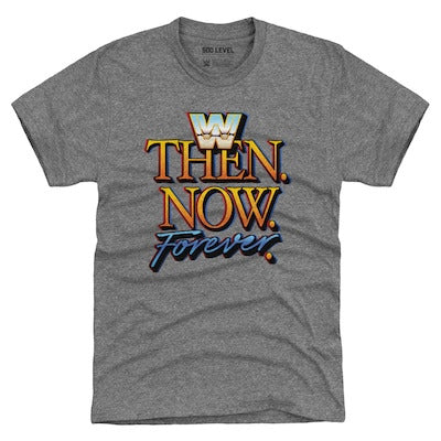 Men's 500 Level Gray WWE Premium T-Shirt - DASH RACEGEAR image 1