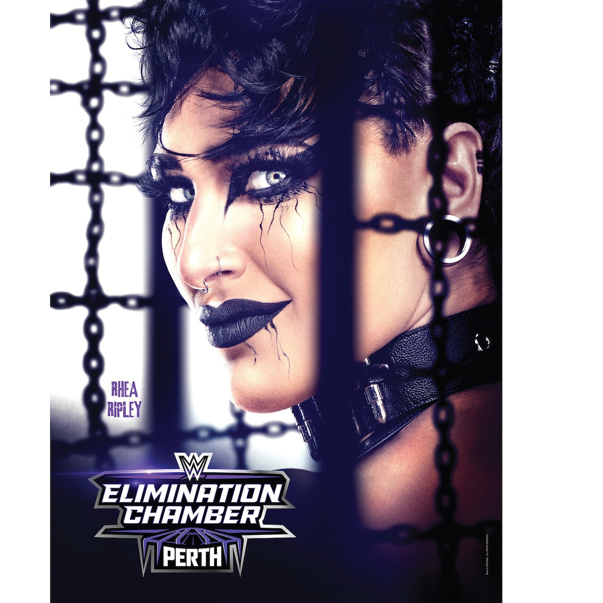 WWE Elimination Chamber 2024 18" x 24" Event Poster Art Photograph