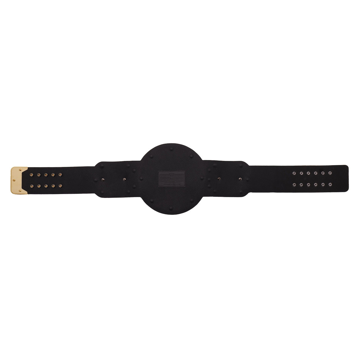 WWE World Tag Team Championship Replica Title Belt