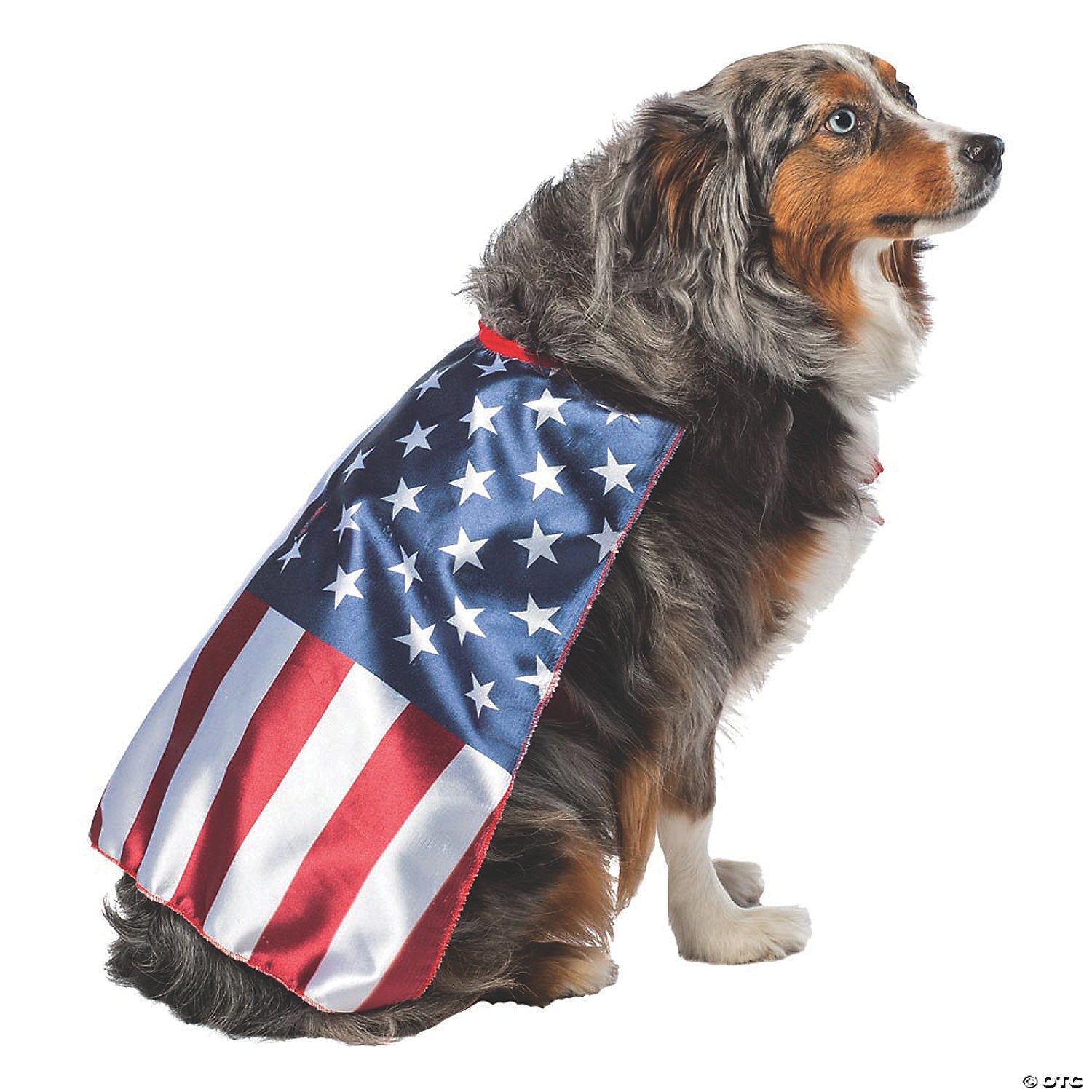 usa_20flag_20cape_20dog_20costume_20_20_20large_gc5014lg_a6323477-2a79-40e4-a8fe-144e3632b675.jpg